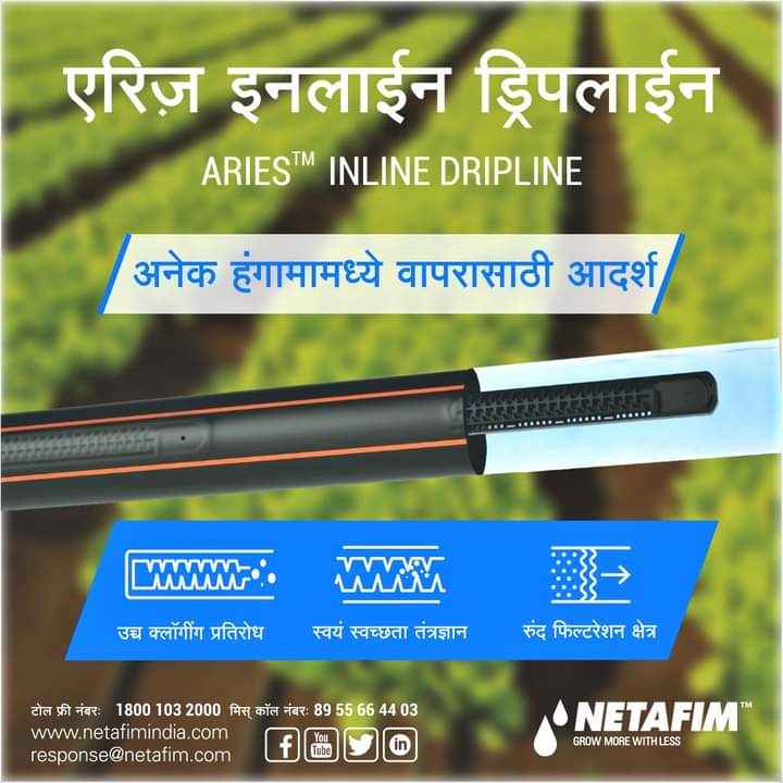 Drip-Irrigation