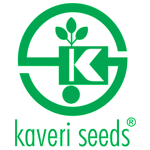 Logo 4