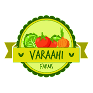 Logo 6