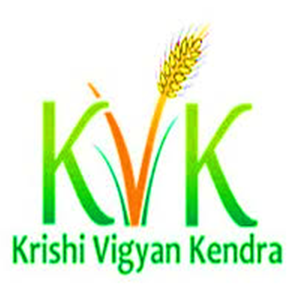 Logo 9